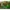 lego horizon adventures ps5(1)